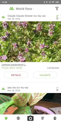 PlantNet Plant Identification android App screenshot 4