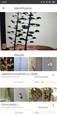 PlantNet Plant Identification android App screenshot 6